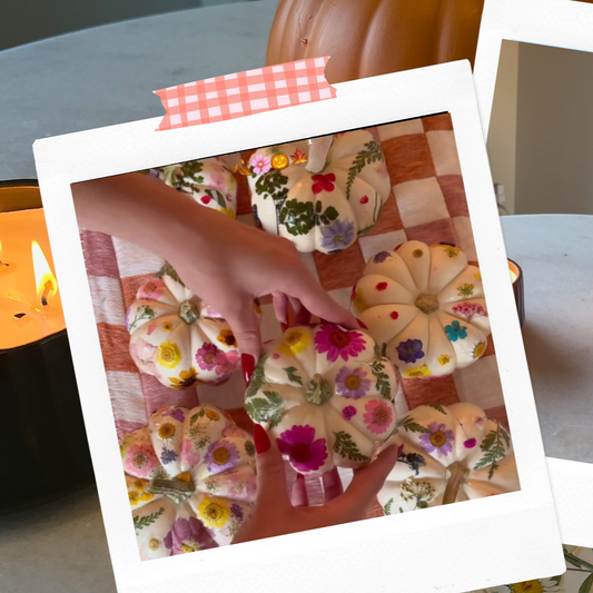 October 11th Fall Craft Pop Up at Thistle & Elm