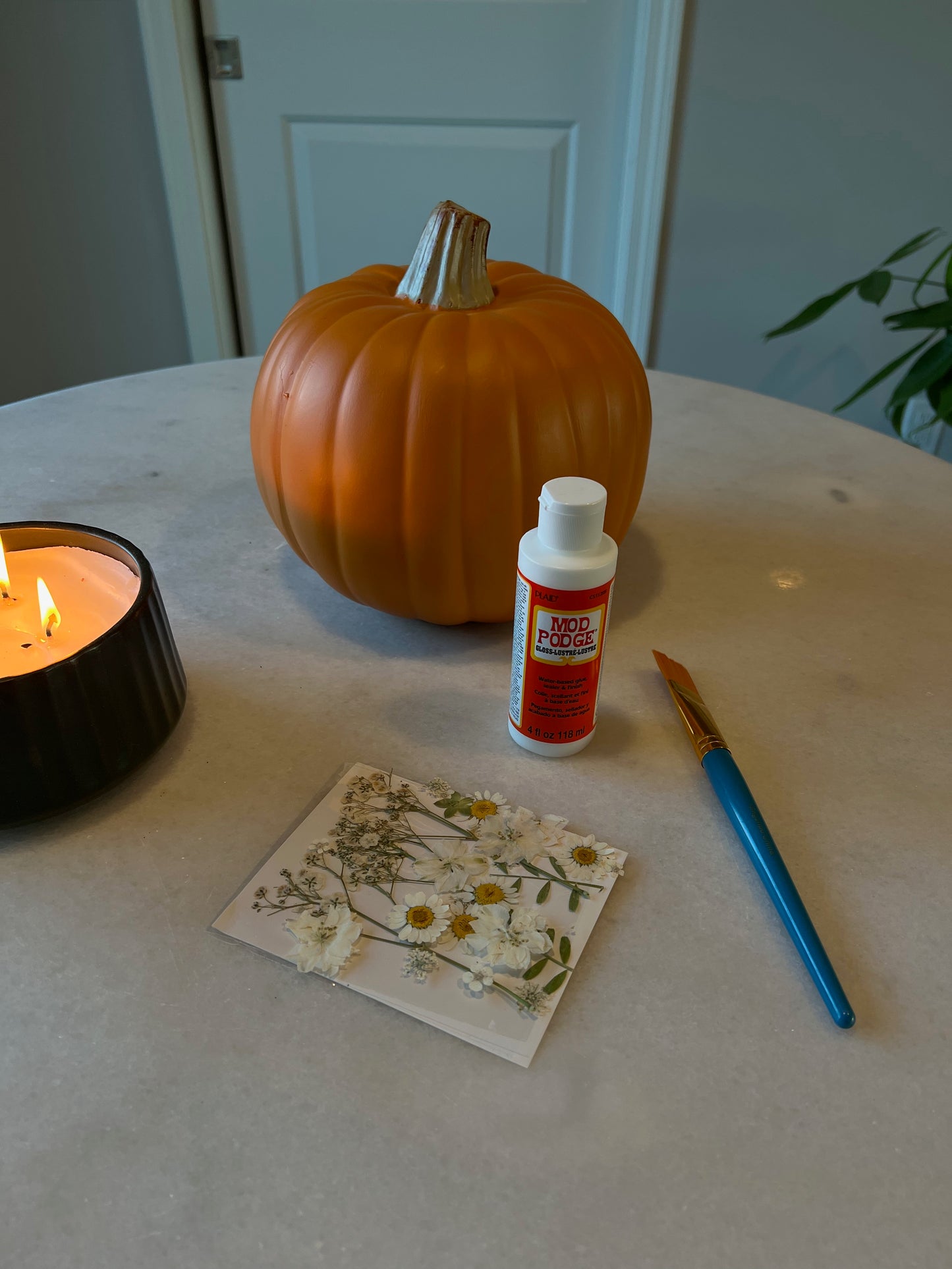 October 11th Fall Craft Pop Up at Thistle & Elm